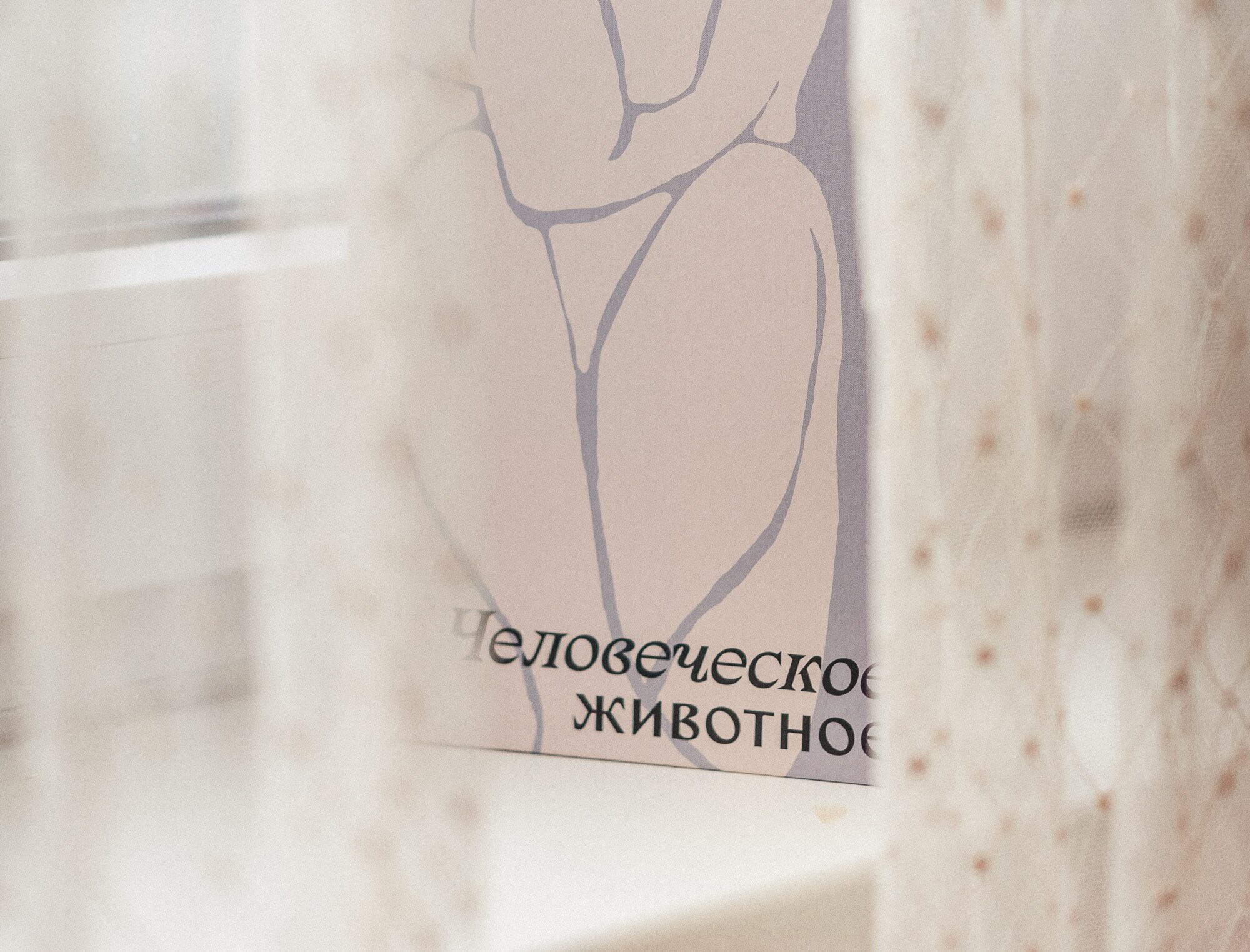 Быть человеком — сложно. Интервью с Аудур Ава Олафсдоттир