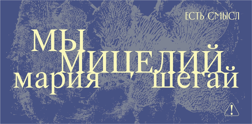 Мицелий
