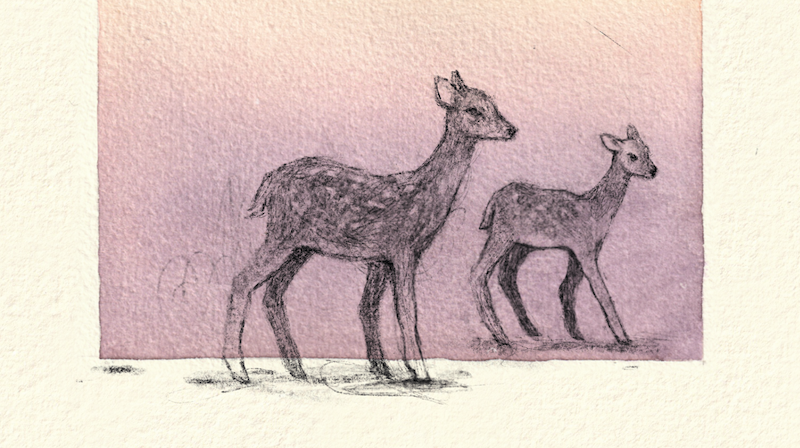 Интервью с создателями графического романа «Вакканай»