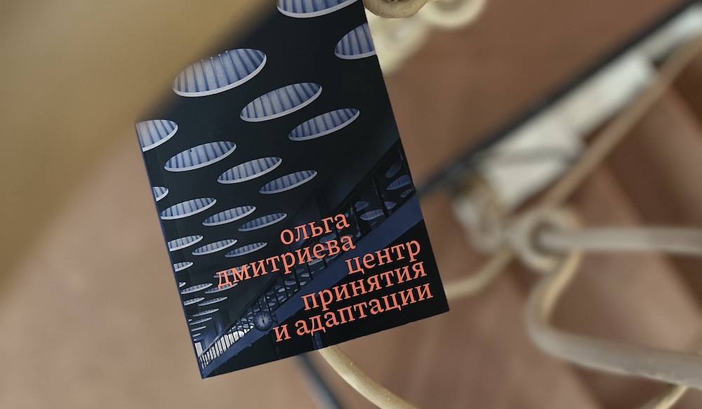 Я — очень жалостливый автор. Интервью с Ольгой Дмитриевой