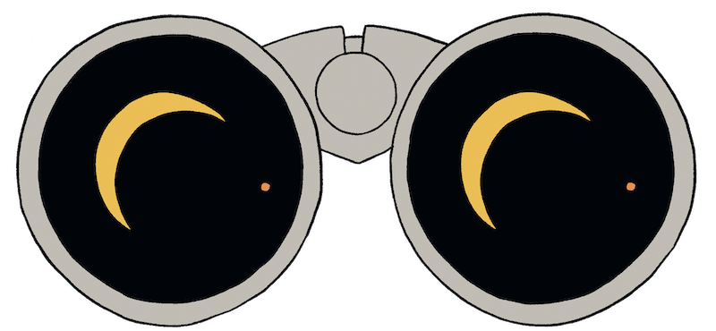 Женщины-учёные и исследовательницы могут всё. Интервью с Анной Русиновой