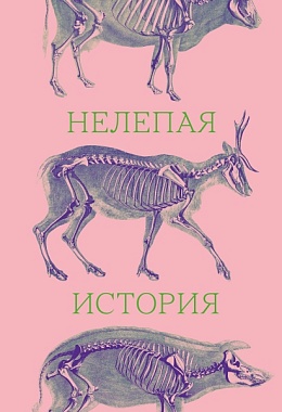 Нелепая история [ПРЕДЗАКАЗ]